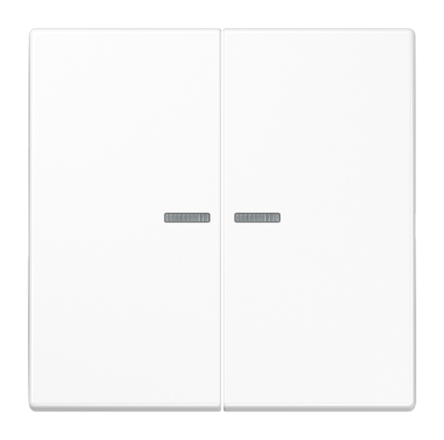 Клавиша двойная с линзами JUNG LS 990, белый