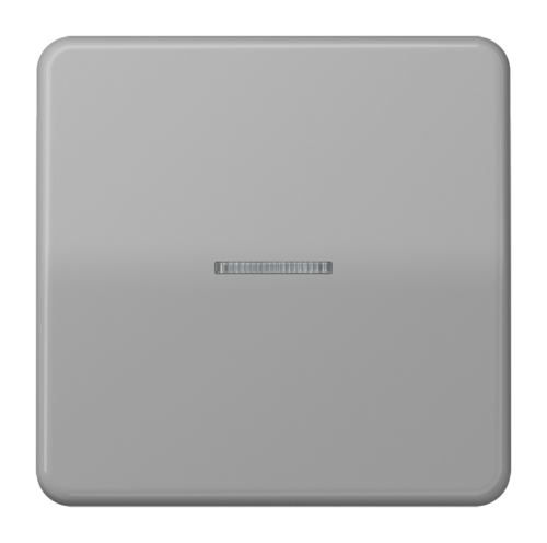 Клавиша с линзой JUNG CD 500, серый