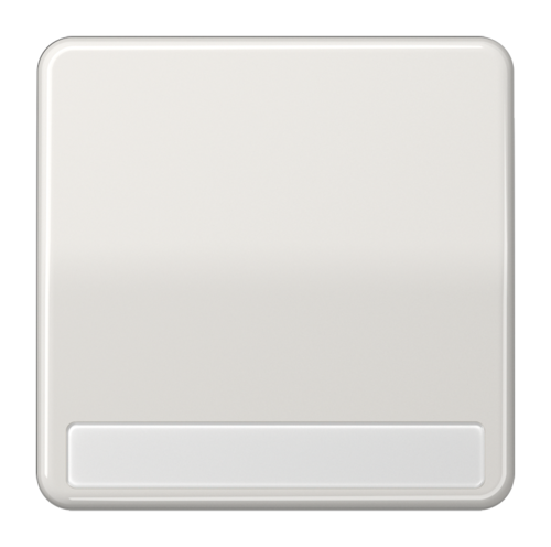 Клавиша JUNG CD 500, светло-серый