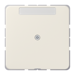 JUNG CD 500/CD plus Бежевый Вывод кабеля с полем для надписи